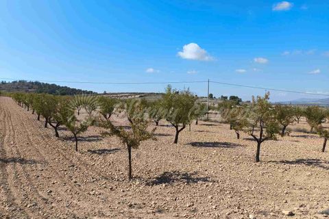 Helårsgrund i Jumilla, Murcia, Jumilla - € 29.900 | Ref: SF0544 - foto 7